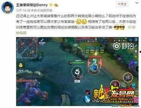 王者荣耀微博最新爆料,神秘英雄即将登场，技能揭秘！#