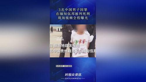 缅甸佤邦爆料视频大全集,爆料视频大全集深度解析